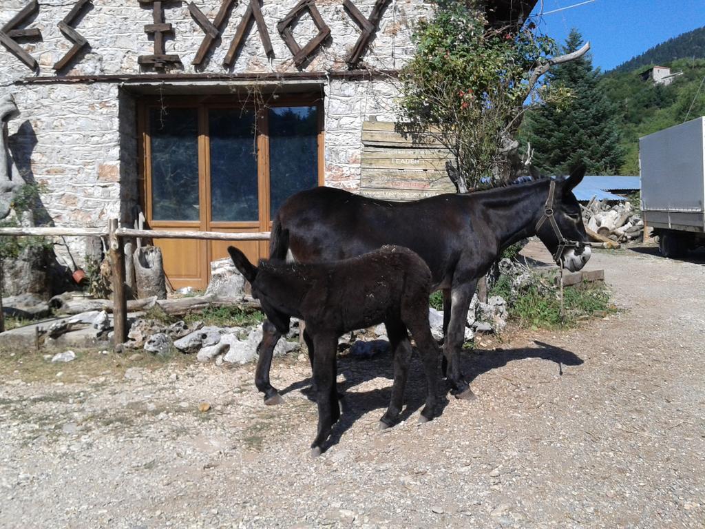 Hotel Archontiko Nikolopoulou Vitina Exterior foto