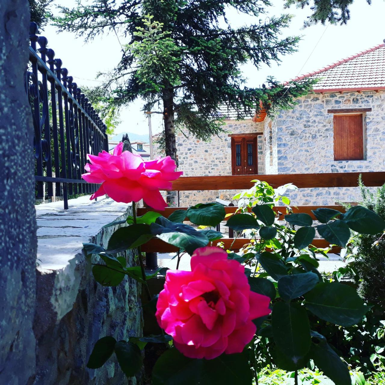 Hotel Archontiko Nikolopoulou Vitina Exterior foto