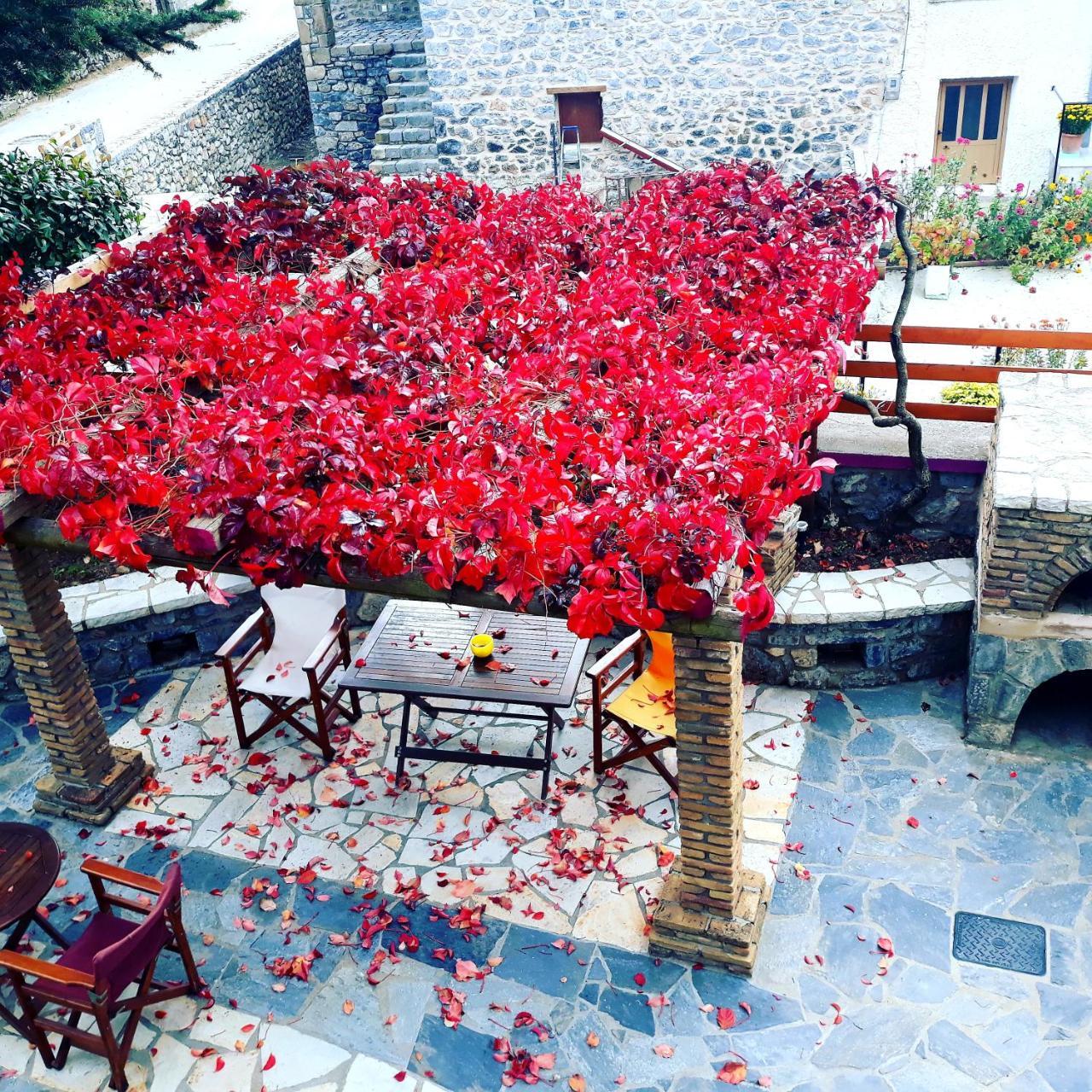Hotel Archontiko Nikolopoulou Vitina Exterior foto